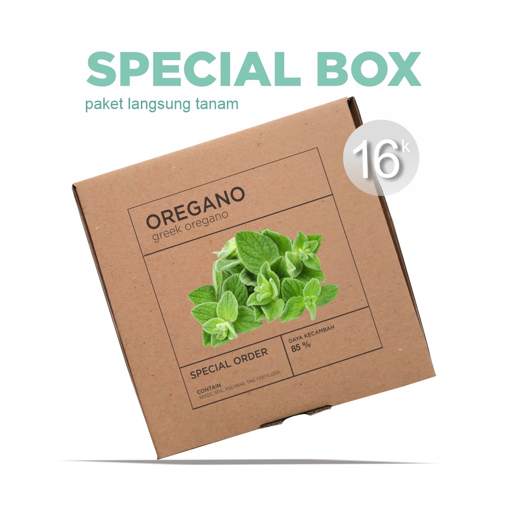 Paket Langsung Tanam - Gardening Kit - SPECIAL BOX - Benih Oregano (Origanum vulgare) Herb Seeds