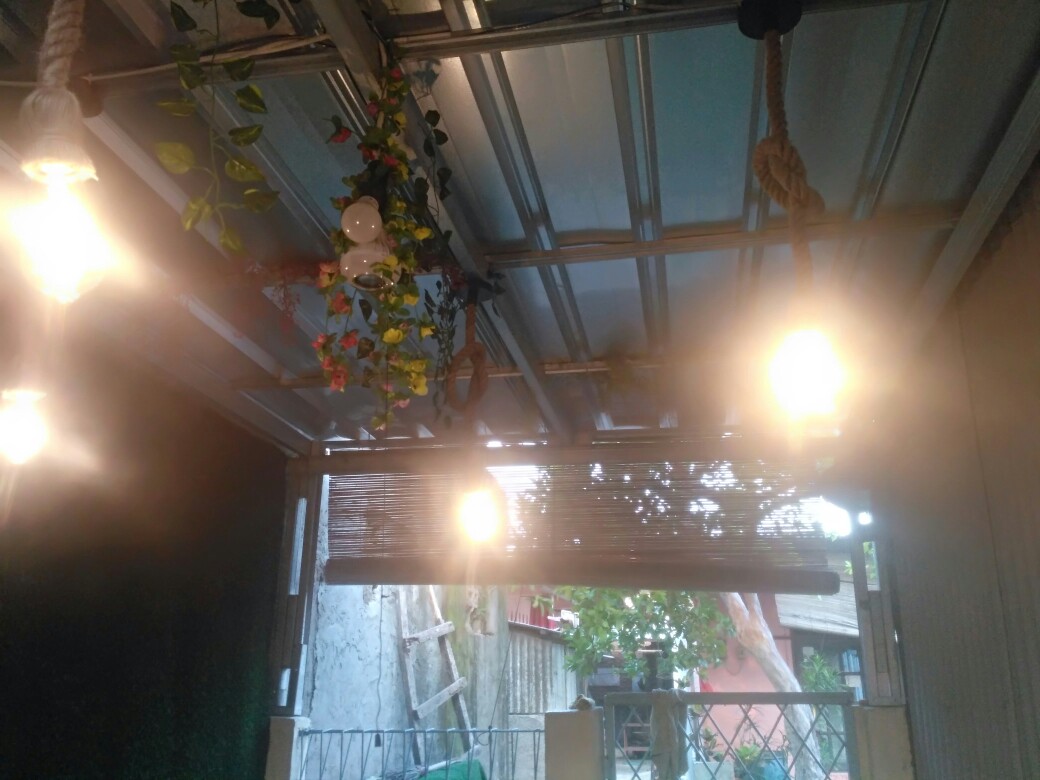 Daun Rambat Sri Gading 2m Dekorasi Home