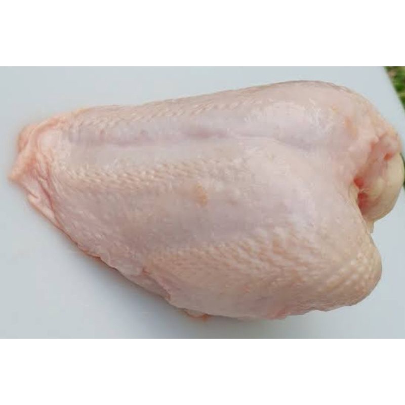 

dada ayam segar (bukan frozen)