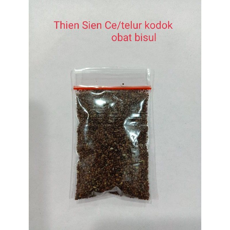 Obat Bisul Tian Xian Zi/Telor Kodok