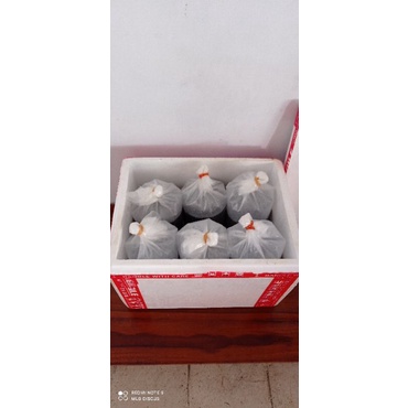 

Box foam paket discus 1 inch 10 ekor