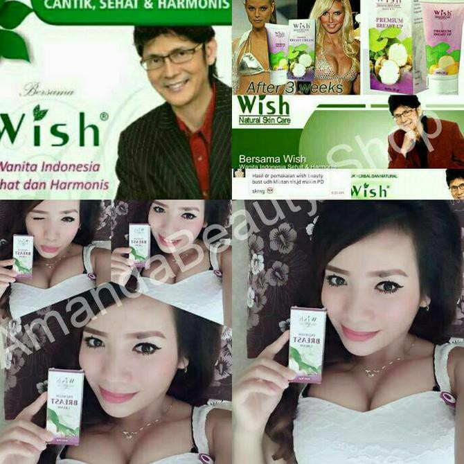 PROMO MURAH Stok Terbatas WISH PREMIUM BREAST UP CREAM DR BOYKE ERE56