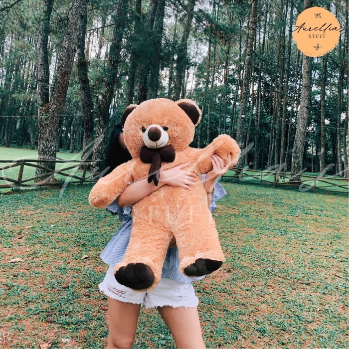 

Buruan Beli - Boneka Teddy Bear / Beruang Bulu Kualitas Impor 80Cm Coklat Susu
