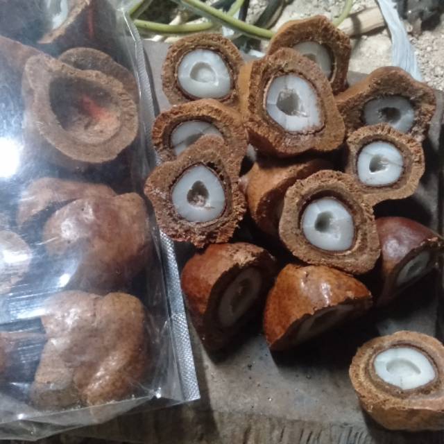 

Buah Zuriat / Zuriat Promil 500 gram sudah belah ORIGINAL