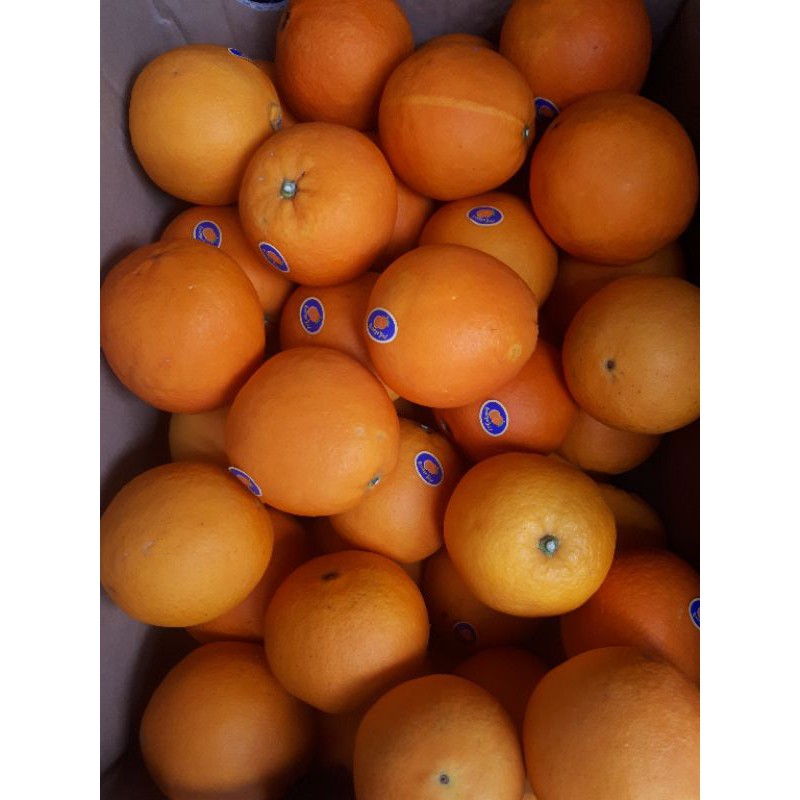 

Jeruk Sunkist