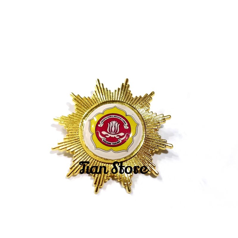 pin karang taruna model bintang magnet/peniti