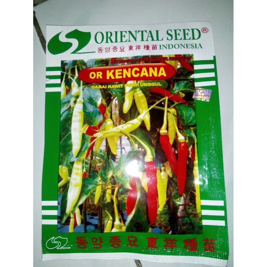 Ready Bibit Cabe Rawit SETAN BESAR 10gram (+-2000biji)