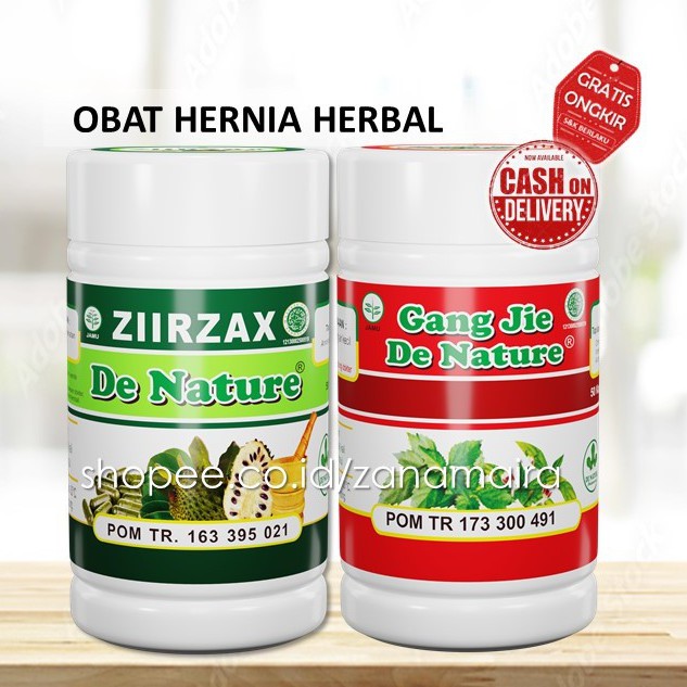 OBAT HERBAL HERNIA KAPSUL GANGJIE & ZIIRZAX DE NATURE
