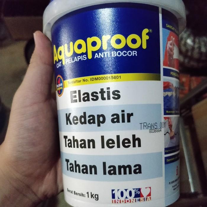Lukisan | Cat Aquaproof 1Kg Transparan