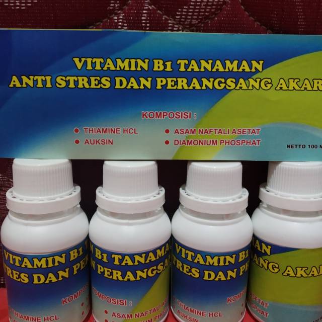 Vitamin B1 Tanaman