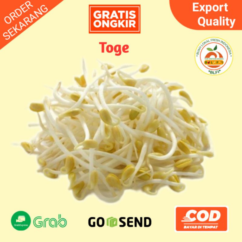 

TOGE / TAUGE BERSIH FRESH