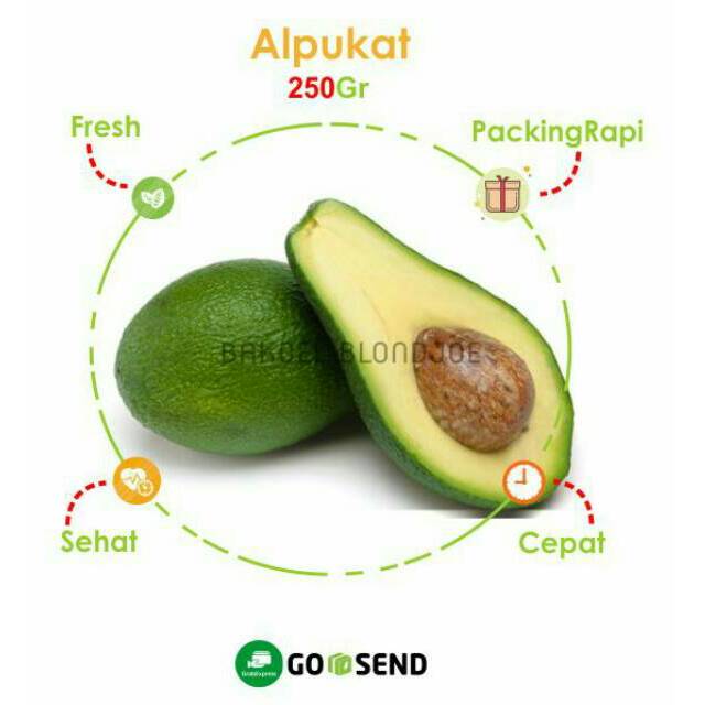 

ALPUKAT MENTEGA BUAH BUAHAN SEGAR BERKUALITAS