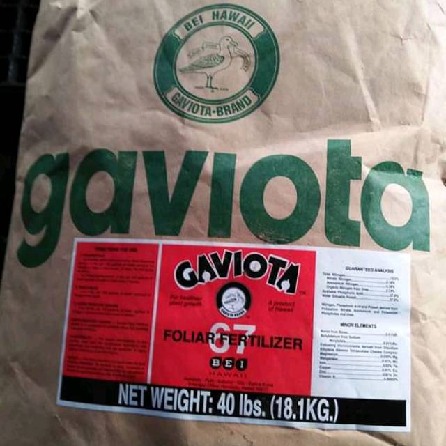 Gaviota 67 500gr promo