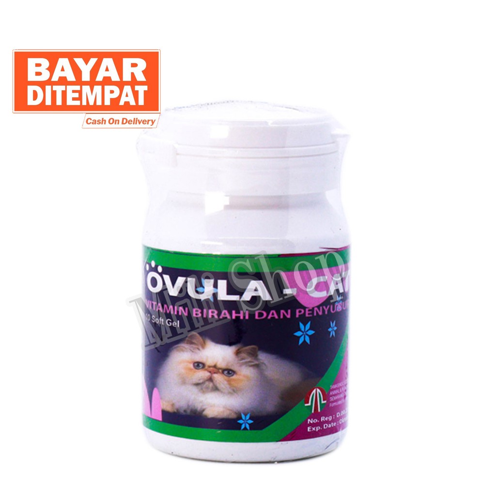 Vitamin Kucing Susah Kawin Obat Ternak Breeding Kucing Ovula Cat