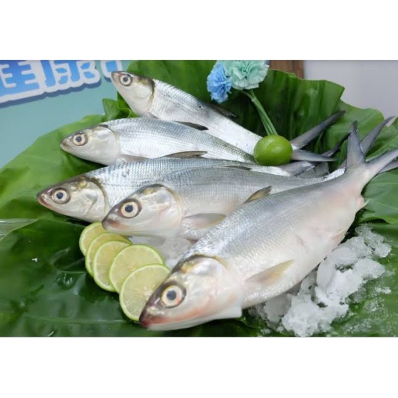 

Ikan Bandeng Utuh Beku 1kg isi 4-5 ekor