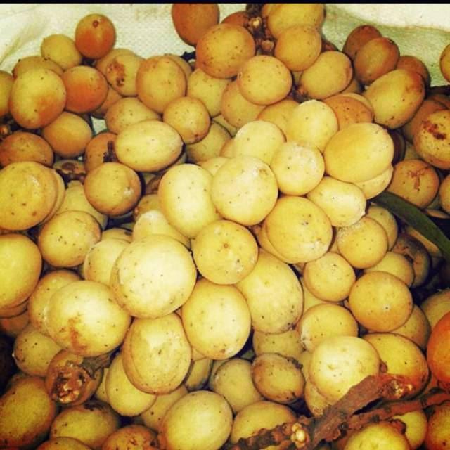 Buah Langsat Punggur Manis 1kg. KALIMANTAN Barat