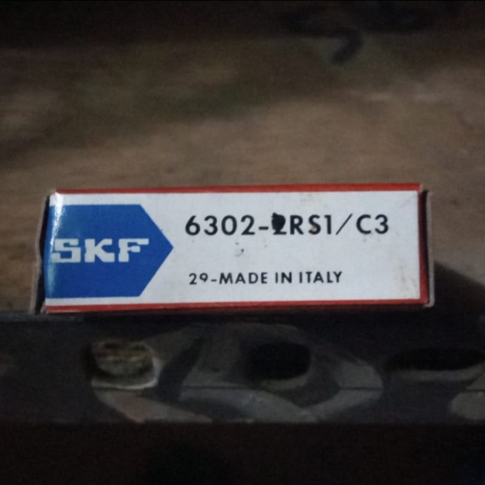6302 RS SKF