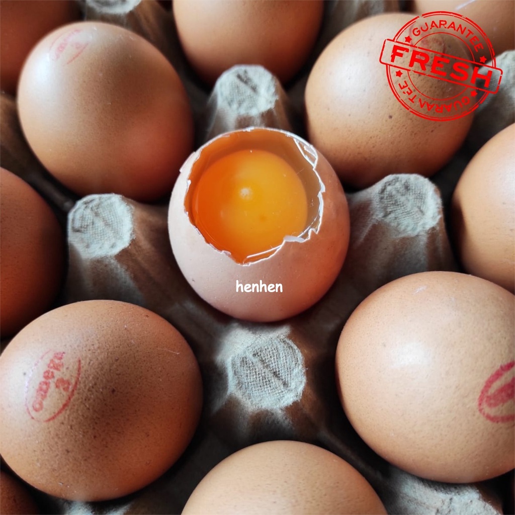 

RB TELUR AYAM NEGERI OMEGA ORGANIK ISI 10 BUTIR/ 15 BUTIR MIKA READY STOCK