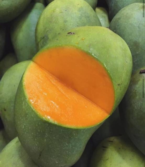 

MANGGA HARUM MANIS/ 1 KG