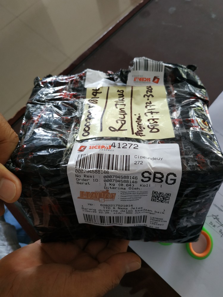 Ramtus Racun Tikus Mati Kering Pengusir Tikus Racun Tikus Ampuh Jebakan Tikus Bukan Lem Tikus Ss-01