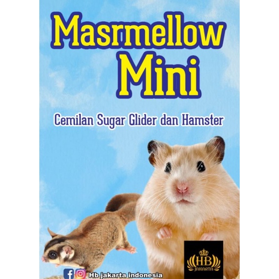 masrmellow mini cemilan hamster dan sugar glider