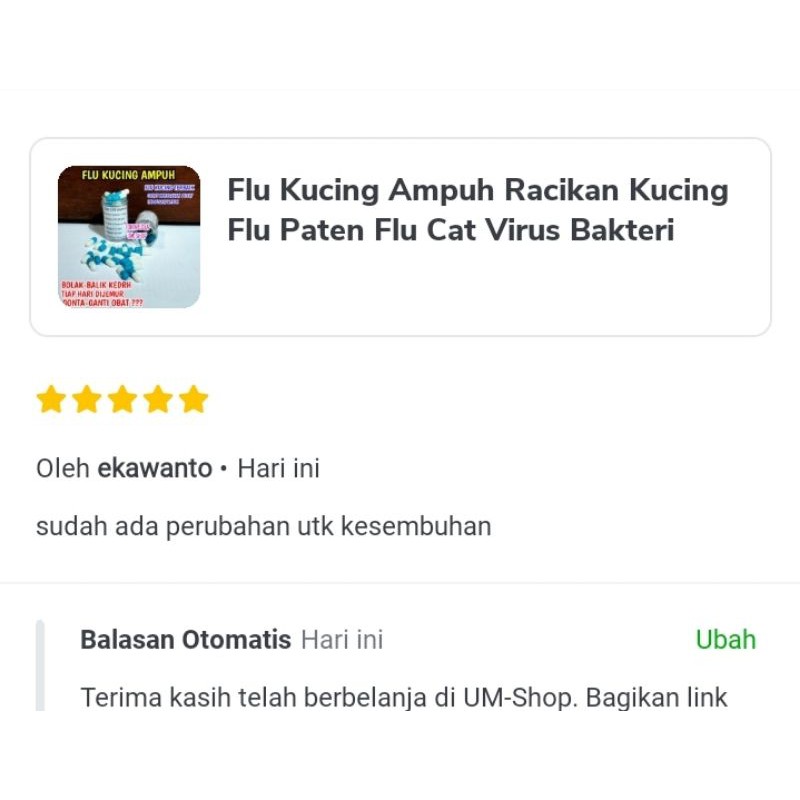 Flu Kucing Ampuh Paten Flu Care Kucing Flu Paten Flu Cat Virus Bakteri Kucing