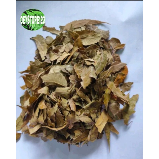 

Daun Mindi kering 500 gram