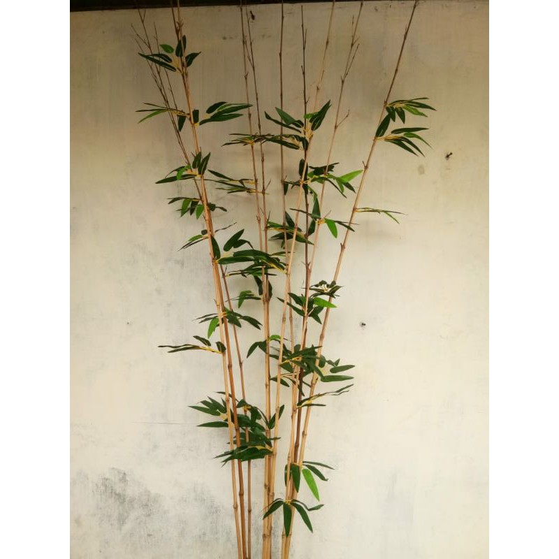 1 bambu LurusEko Daun Bambu artificial