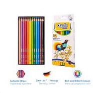 

Agatis Prime Wood Permanent Colour Pencil Hexagonal 12