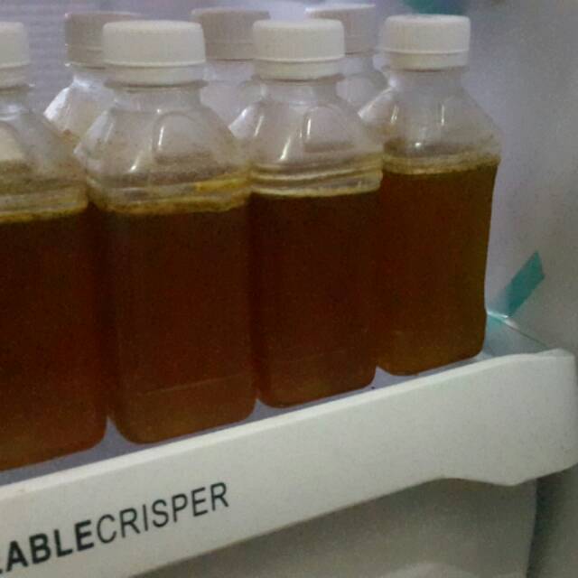 Madu hutan asli murni kupang NTT