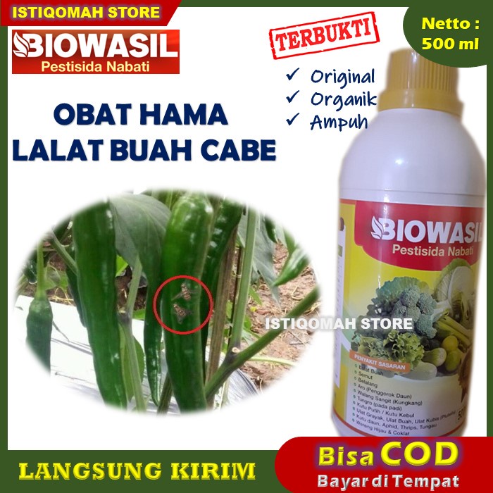 PROMO COD BIOWASIL 500ml Pupuk Cair Obat Lalat Buah untuk Cabe - Obat Lalat Buah pada Tanaman Cabe - Obat Lalat Buah Cabai Cabe Paling Ampuh - Obat Insektisida Pembasmi Lalat Buah Cabe - Obat Paling Ampuh Untuk Lalat Buah Cabe TERLARIS