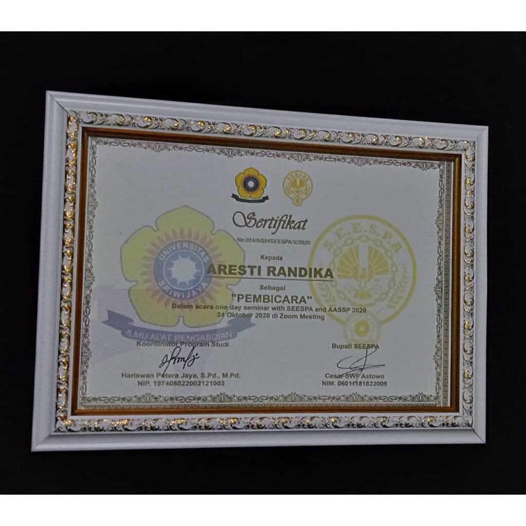 

SERTIFIKAT DAN PIAGAM TANPA BINGKAI