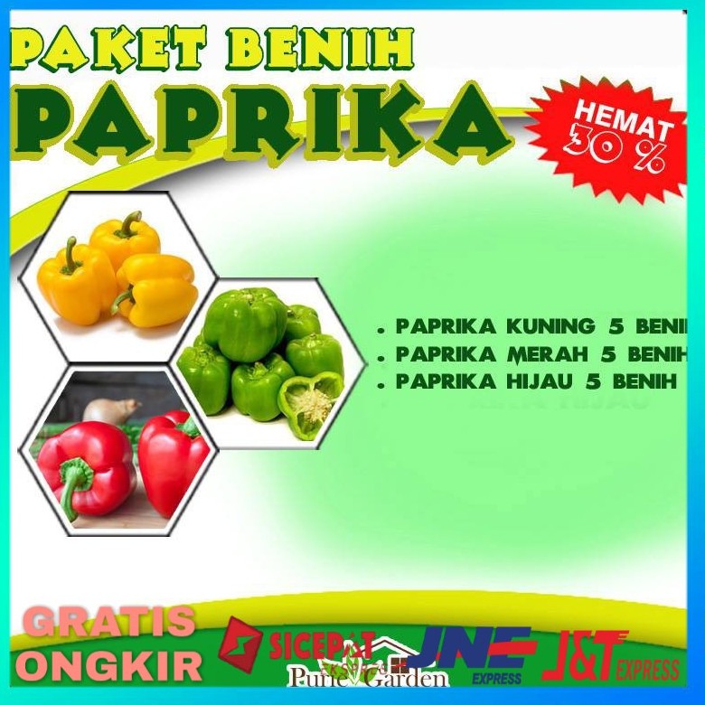 BENIH HIDROPONIK BIBIT PAPRIKA BENIH TANAMAN BIBIT TANAMAN BENIH SAYURAN BIBIT SAYURAN BENIH PAPRIKA
