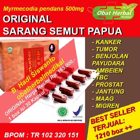 ORIGINAL Obat Herbal Jantung, Batu Ginjal, Maag, Ambeien Sarang Semut Papua Asli
