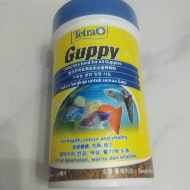Makanan Terbaik Untuk Ikan Guppy Indukan Dan Anakan Sale Guppy Fish Indonesia