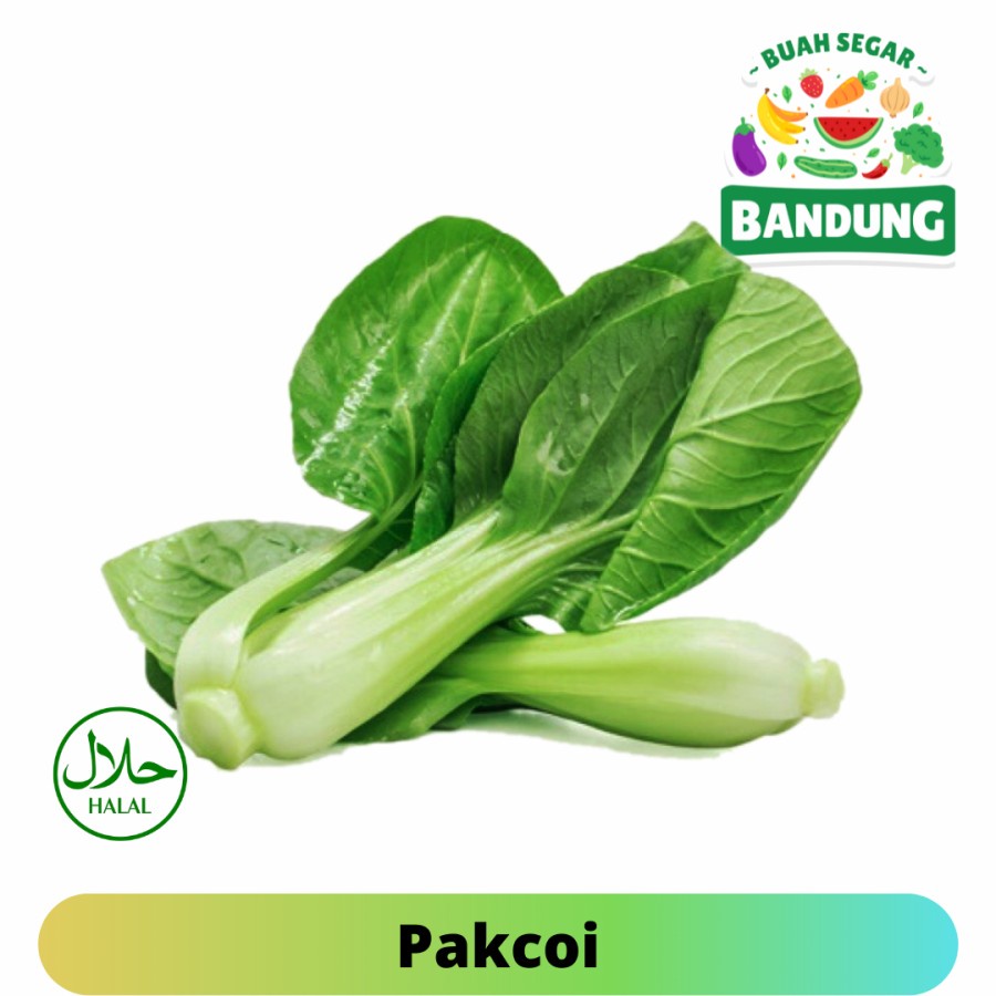 

SAYUR PAKCOY/PAKCOI ORGANIK FRESH