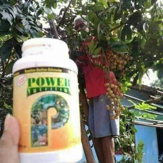 Power nutrition