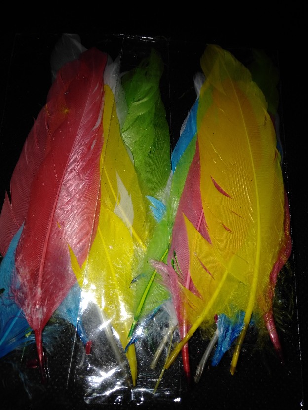 Bulu Ayam Warna Eceran 10 Pcs Rp.2500