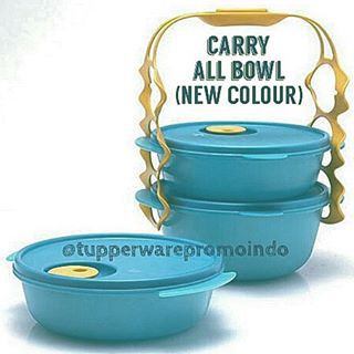 Carry All Bowl (warna baru: Tosca)