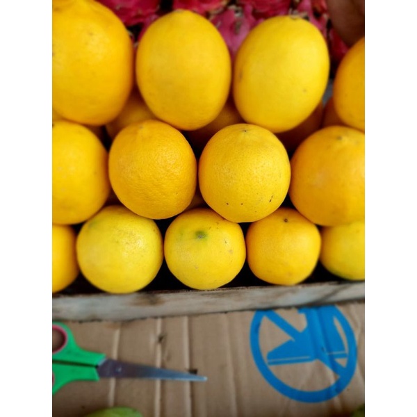 

jeruk lemon