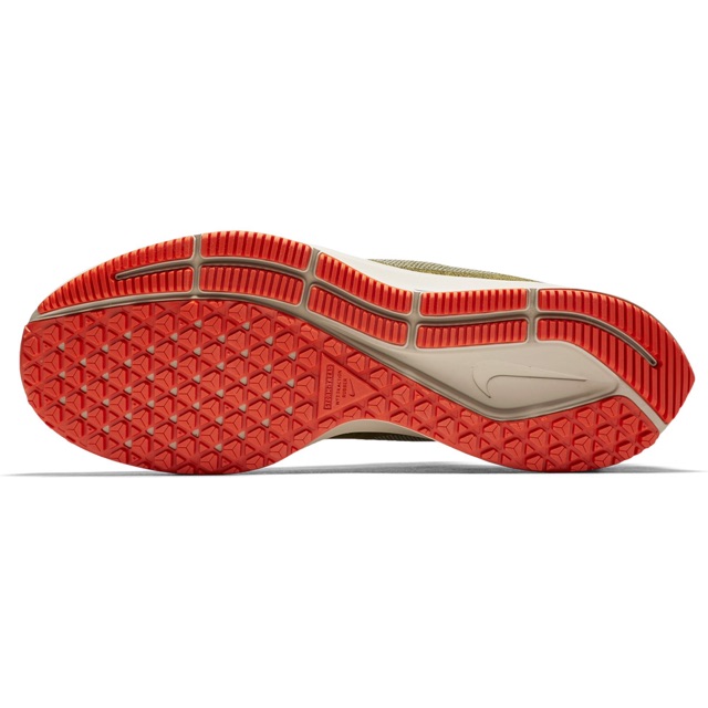 pegasus 35 water repellent