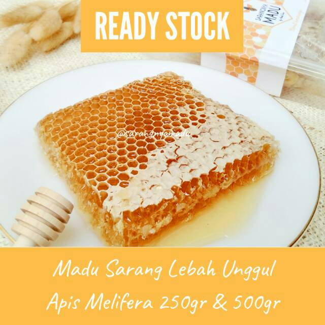 Sarang Madu Murni Honeyb Melifera Dan Cerana 250gr 500gr Indonesia