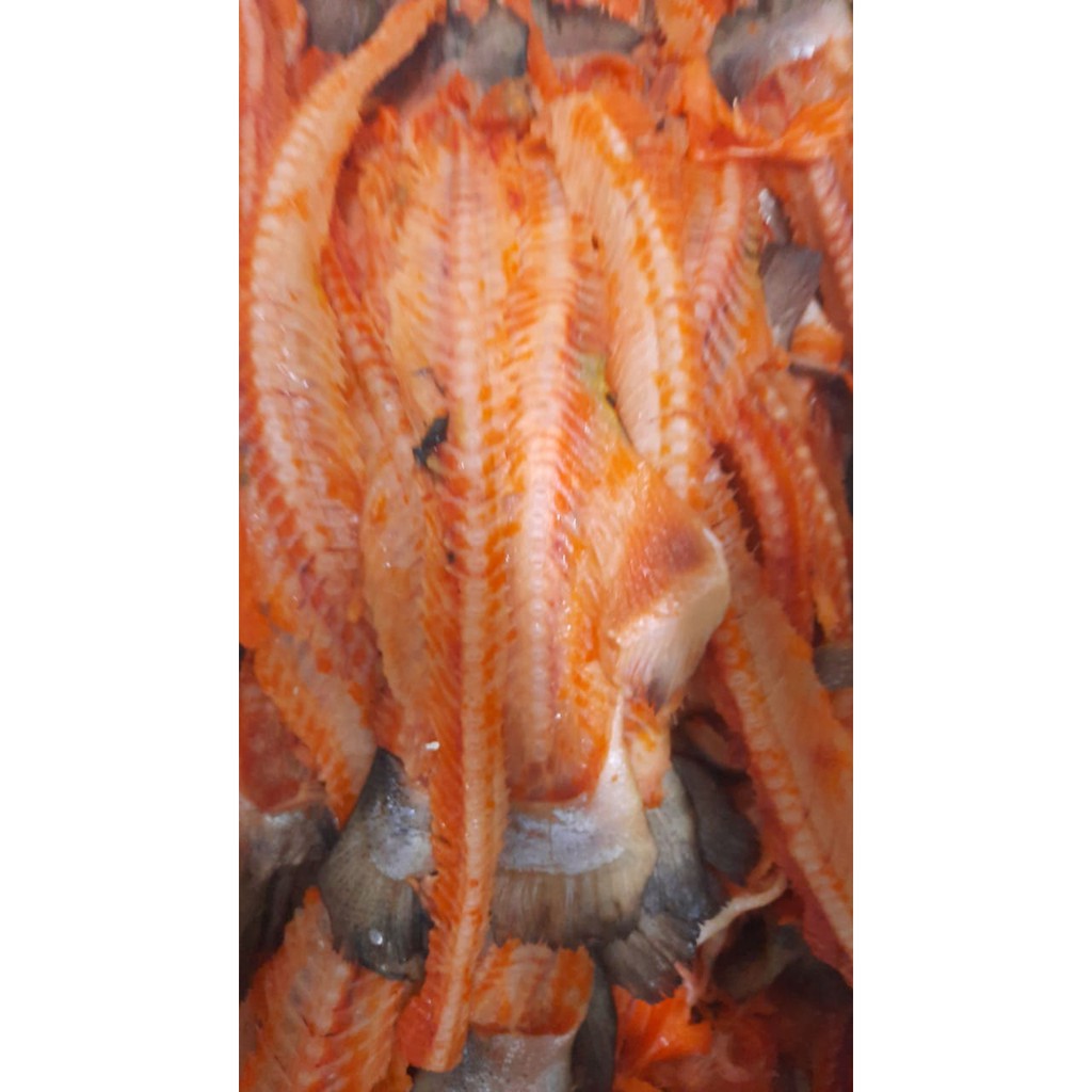 Salmon Scrape / ikan Salmon trout norway Fresh Kerokan /TETELAN SALMON