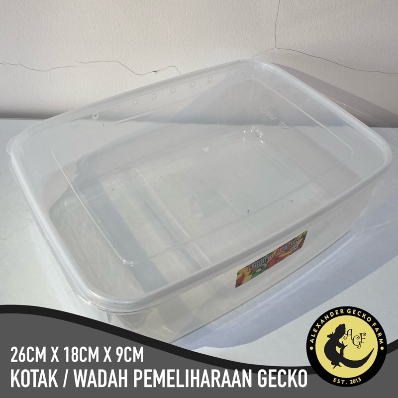 Tempat Kotak / Wadah Pemeliharaan Reptil Leopard Gecko Baby Juvenile Adult