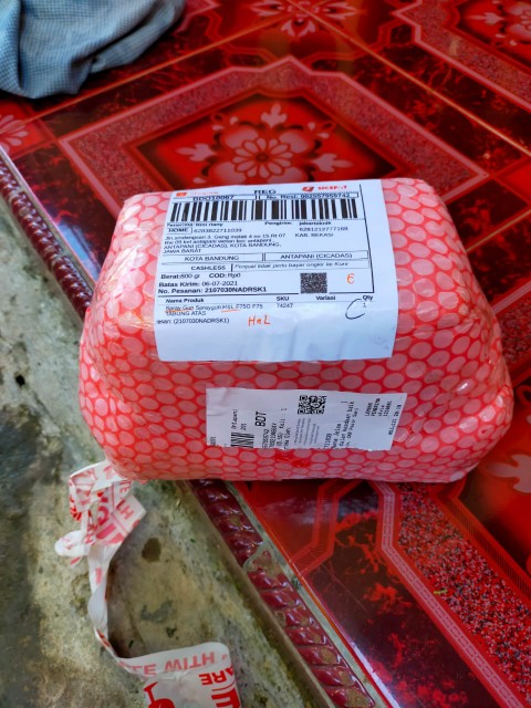 Spray Gun Spraygun H&l F75g F75 Tabung Atas