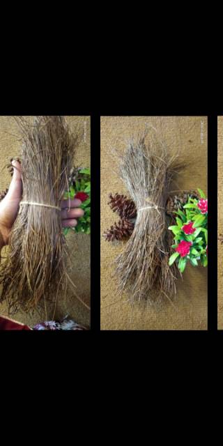(5 Gratis 1) Daun Pinus Kering Pinecones Sarang Burung Birdnest Rustic Dekor Property Photo