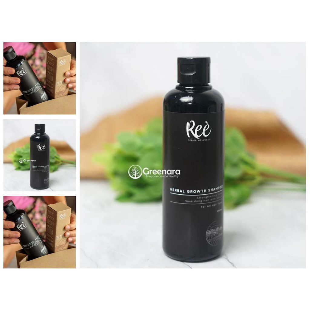 ree derma shampo 250ml / shampoo ree derma