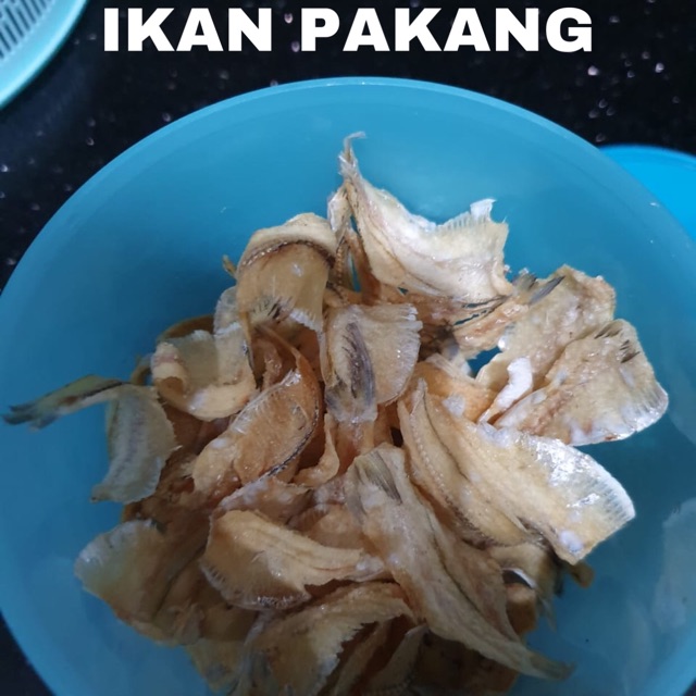 

IKAN PAKKANG