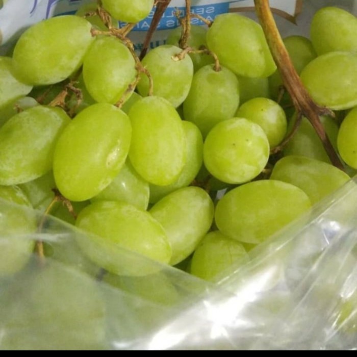 Anggur hijau tanpa biji 1kg