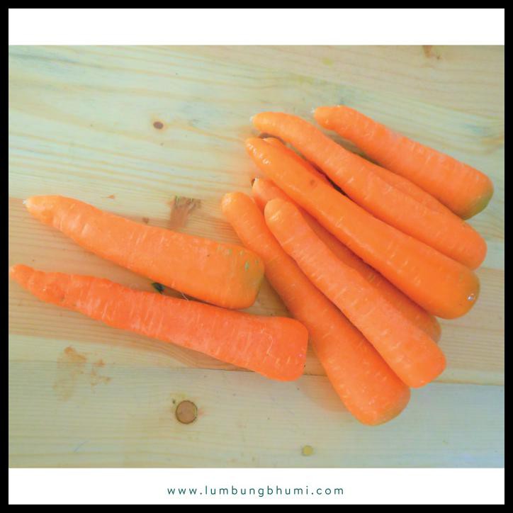 

GRATIS ONGKIR Wortel Impor / Brastagi ( Sayur - Sayuran Curah )